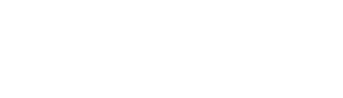 LOGO-SALVATORE