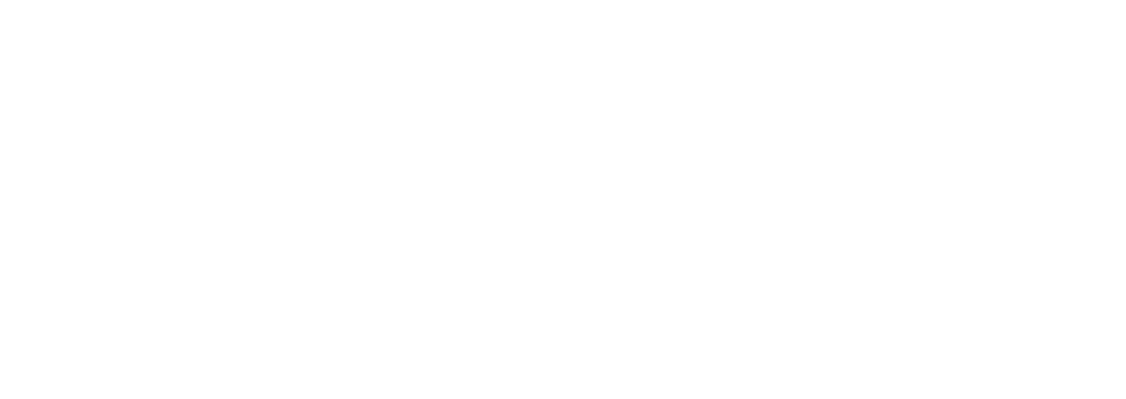 LOGO BLANCO AGENCIA